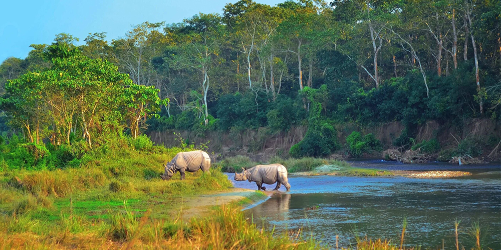 Chitwan National Park