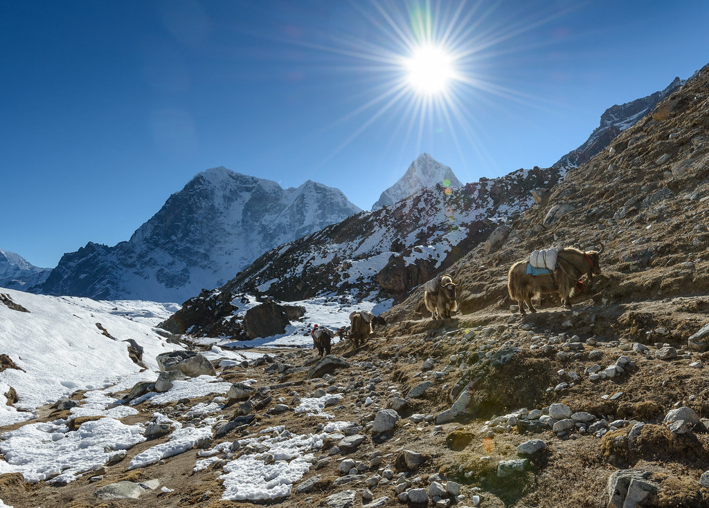Annapurna Base Camp Trek vs Everest Base Camp Trek